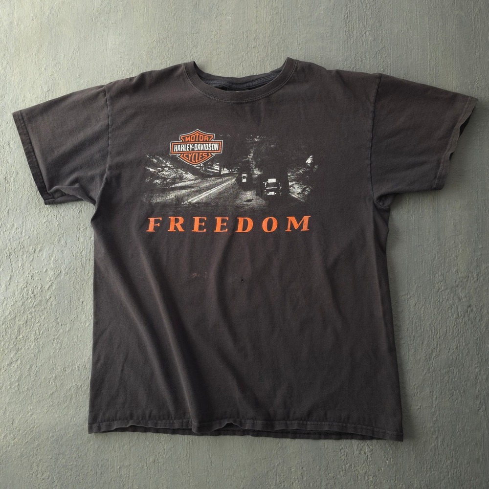 Vintage 2000s Harley-Davidson Black T-shirt Large Beartooth Billings Montana